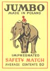 export Polska - Jumbo